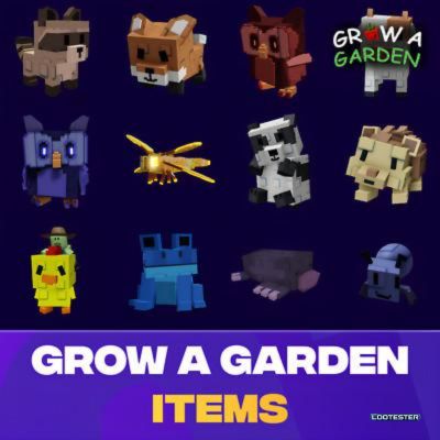 Best Things to Buy With Free Rewards