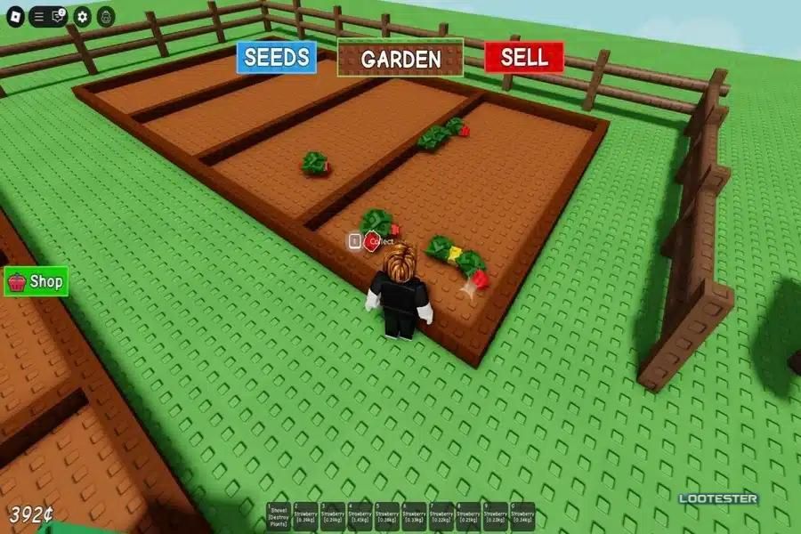 Grow a Garden Beginner Tips for Fast Progress