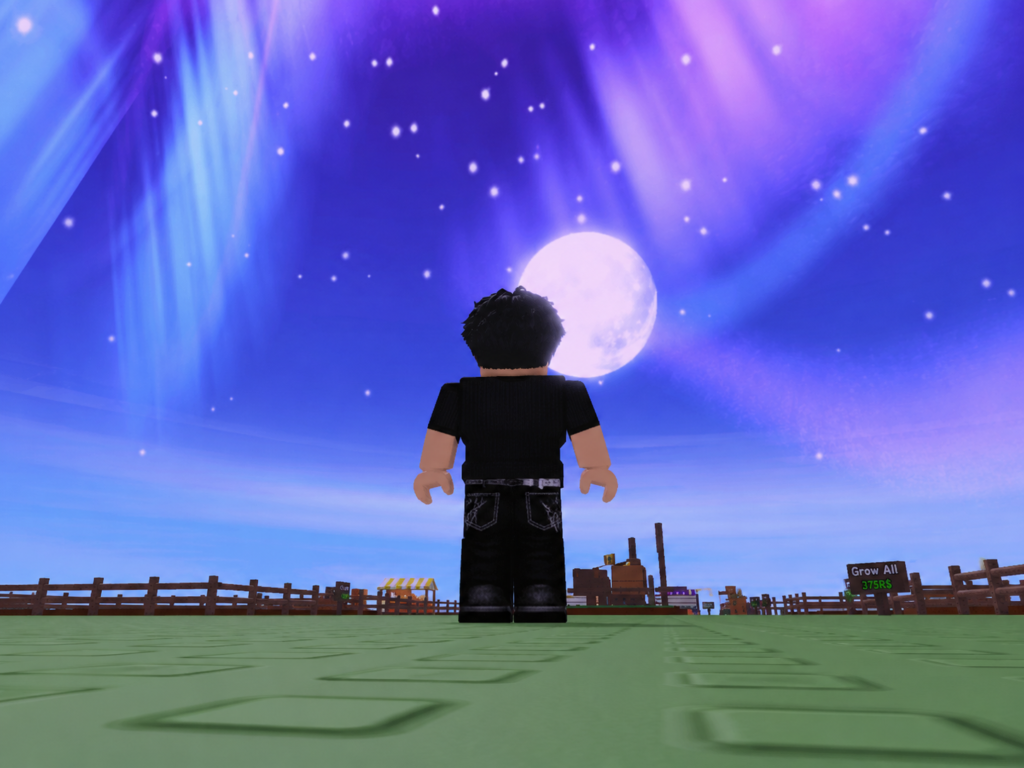 Aurora Event Update