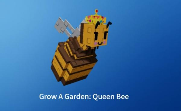 Dragonfly Mooncat Raccoon and Queen Bee pet combo in Grow a Garden.