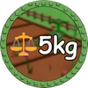 5kgFruitBadge in gag2