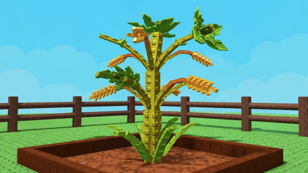 Grain Lily Farming
