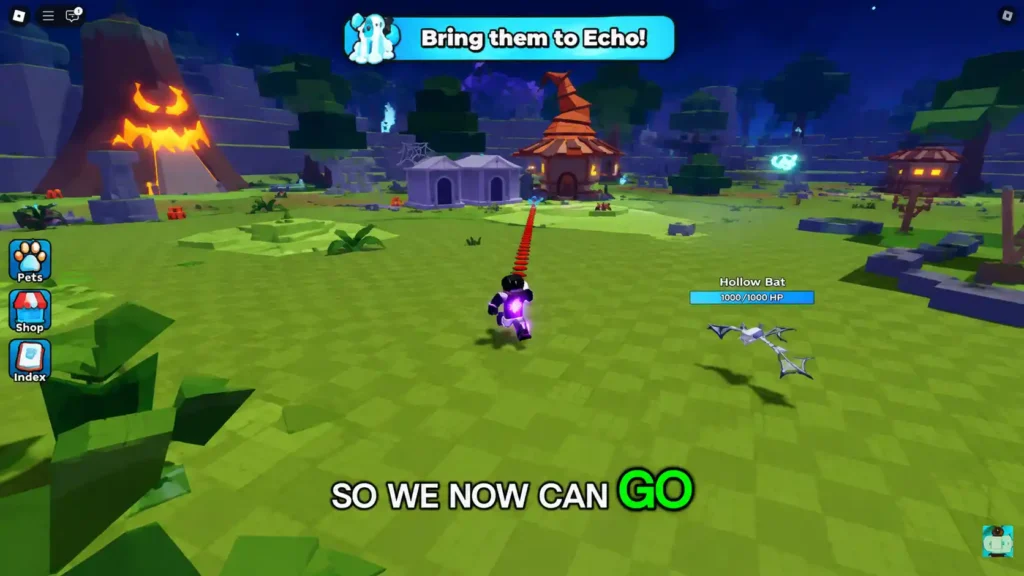 Bring them to Echo quest objective after collecting the lost items in Steal an Egg